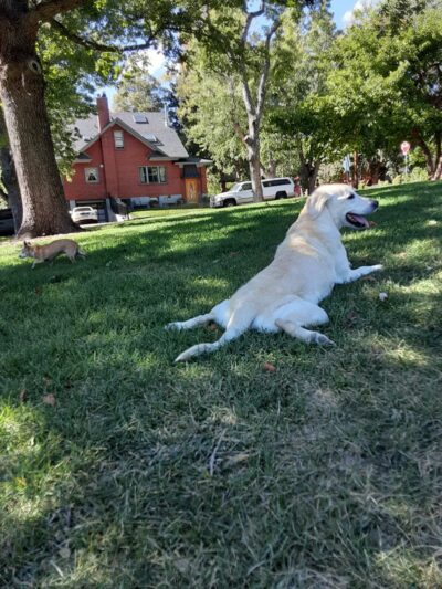 Pferdesteller Park - Denver, CO