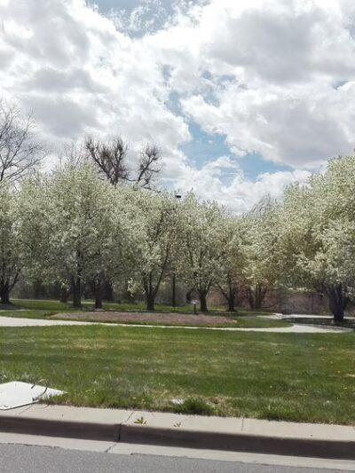 Pulaski Park - Denver, CO
