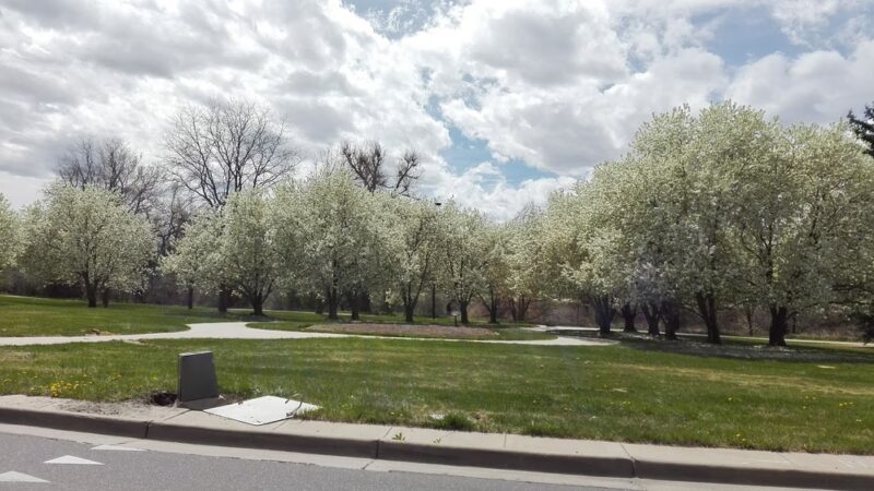 Pulaski Park - Denver, CO