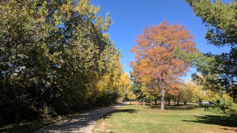 Pulaski Park - Denver, CO