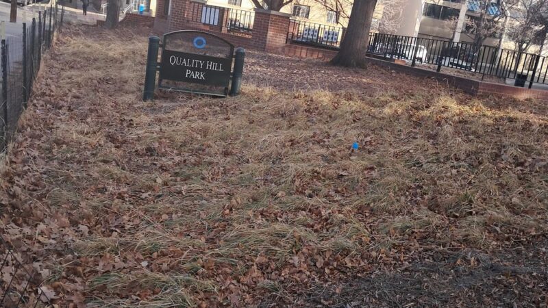 Quality Hill Park - Denver, CO