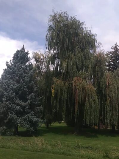 Robert H. McWilliams Park - Denver, CO