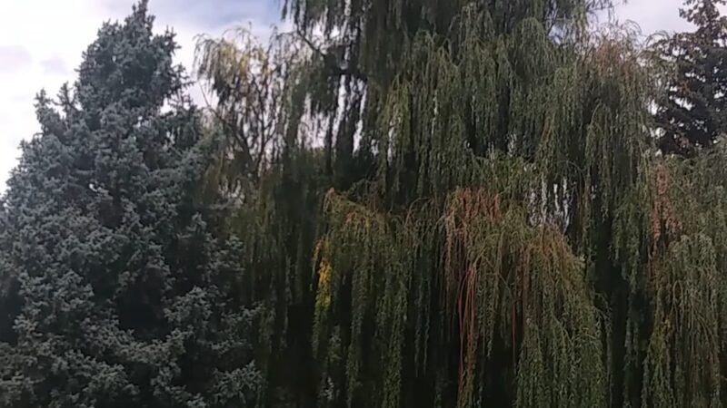 Robert H. McWilliams Park - Denver, CO
