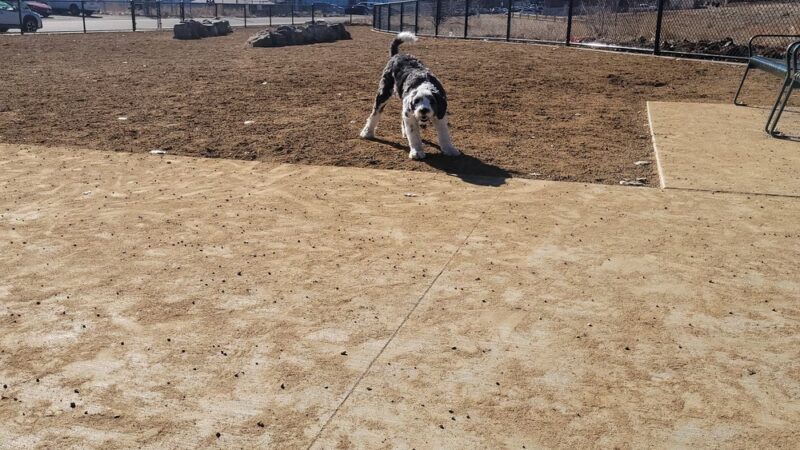 Ruby Hill Dog Park - Denver, CO