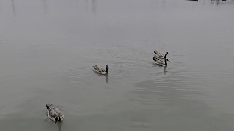 Sloan Lake - Denver, CO