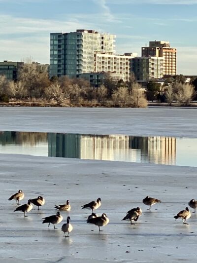 Sloans Lake - Denver, CO