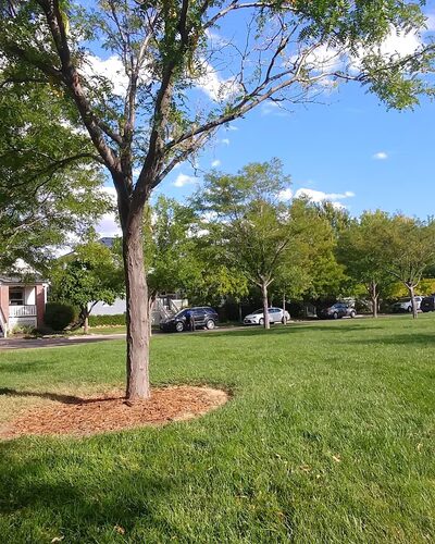 Square Park - Denver, CO