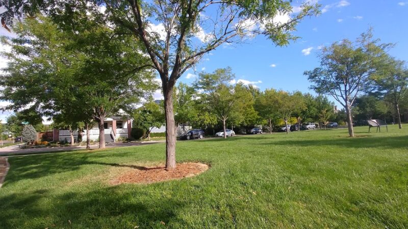 Square Park - Denver, CO