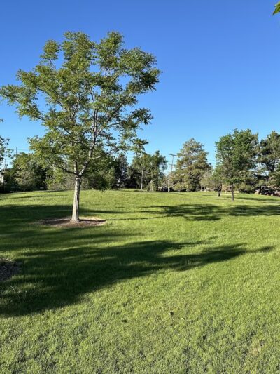 Vanderbilt Park - Denver, CO