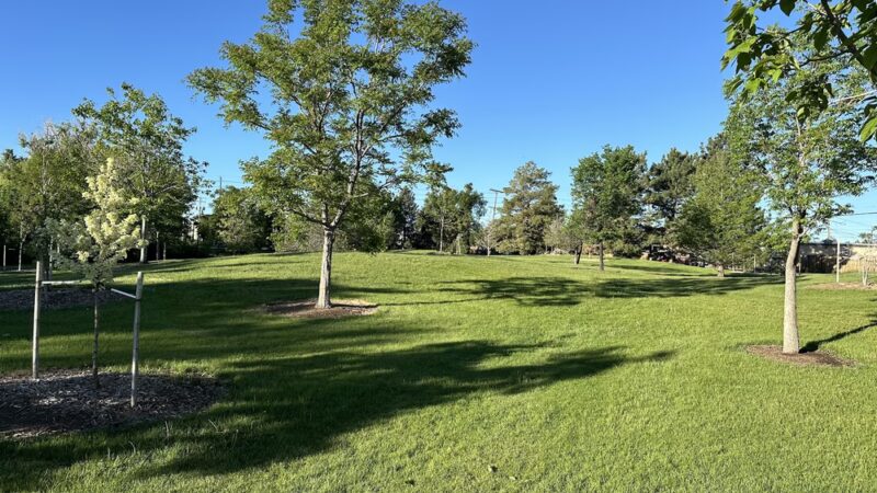 Vanderbilt Park - Denver, CO