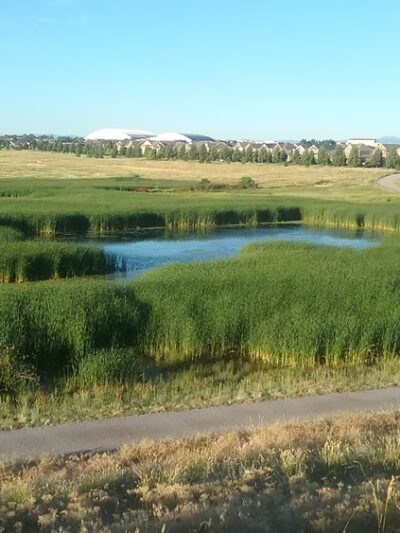 Verbena Park - Denver, CO