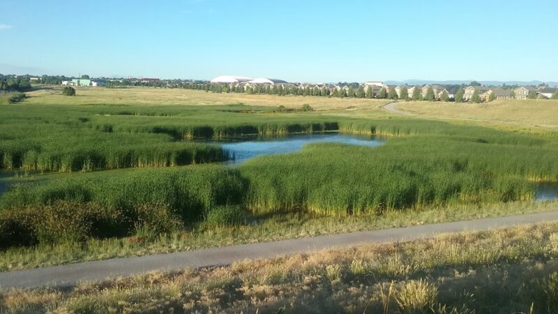 Verbena Park - Denver, CO