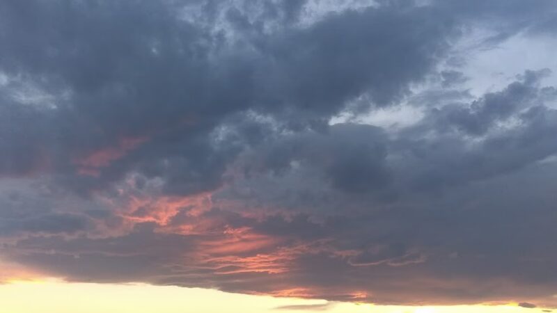 Verbena Park - Denver, CO