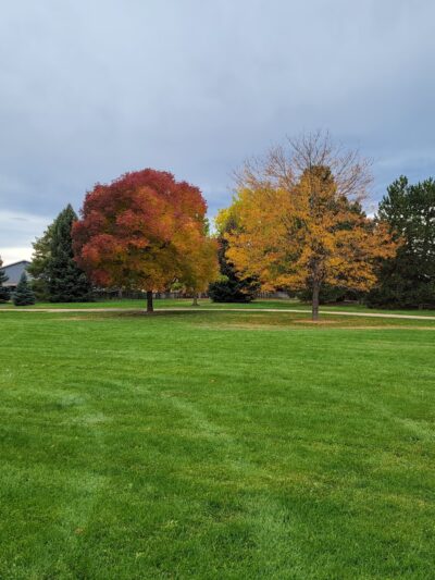 Wagon Trail Park - Denver, CO