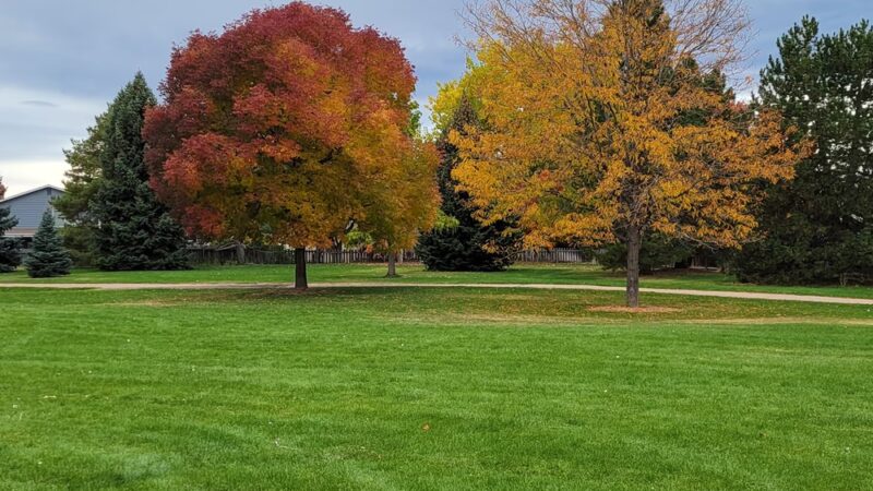 Wagon Trail Park - Denver, CO