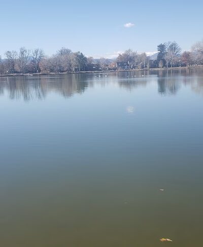Washington Park Picnic Area #4 - Denver, CO