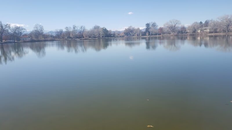 Washington Park Picnic Area #4 - Denver, CO