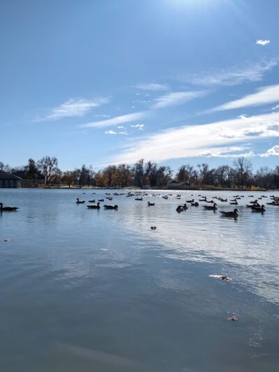 Washington Park Picnic Area #4 - Denver, CO