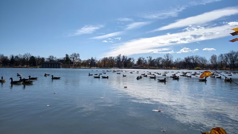 Washington Park Picnic Area #4 - Denver, CO