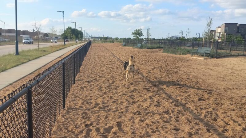 Willow Bark Park - Dog Park - Denver, CO