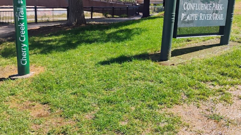 Zeckenbark Dog Park - Denver, CO