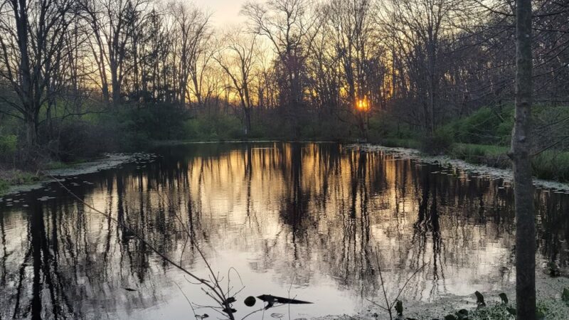 Brubaker Park - Denver, PA