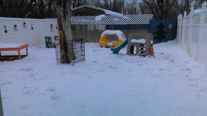 Canine and Company - Depew, NY