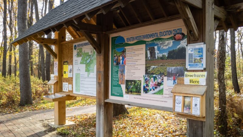 Reinstein Woods Nature Preserve - Depew, NY