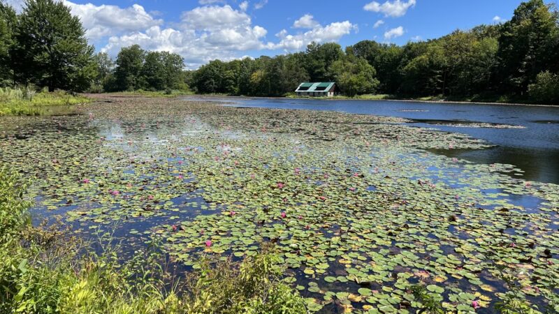 Reinstein Woods Nature Preserve - Depew, NY