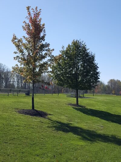 Veteran's Park - Depew, NY