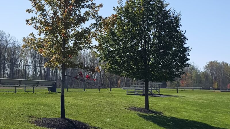 Veteran's Park - Depew, NY