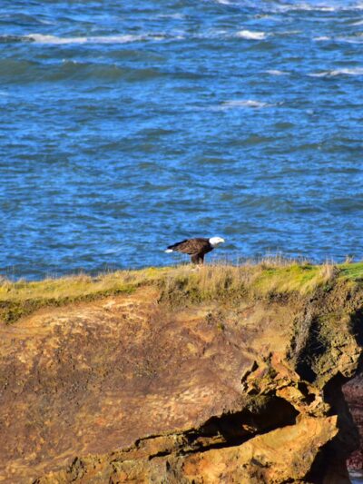 Depoe Bay Beach - Depoe Bay, OR