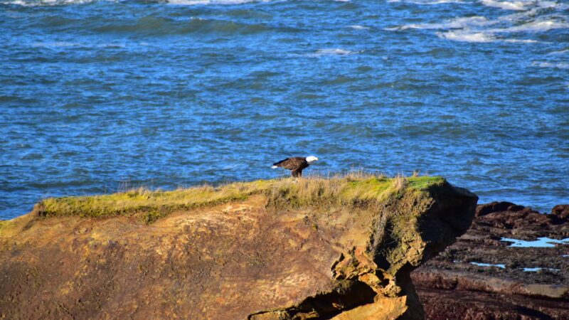 Depoe Bay Beach - Depoe Bay, OR