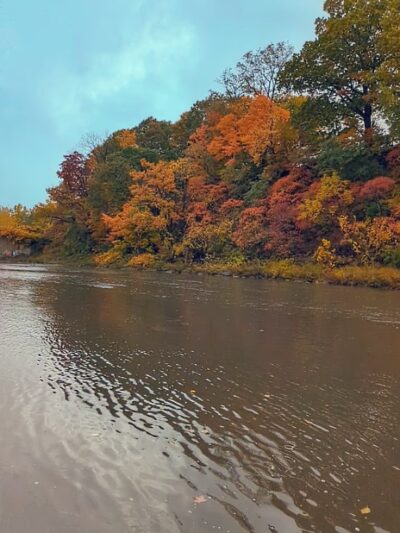 Eighteen Mile Creek-Lake - Derby, NY