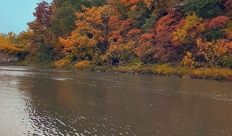 Eighteen Mile Creek-Lake - Derby, NY