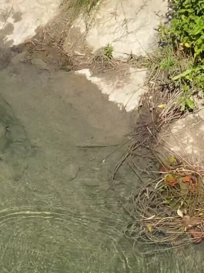 Eighteen Mile Creek-Lake - Derby, NY