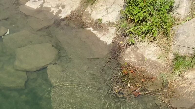 Eighteen Mile Creek-Lake - Derby, NY