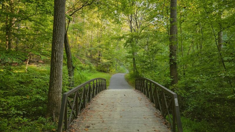 Lake Needwood, Rock Creek Regional Park - Derwood, MD