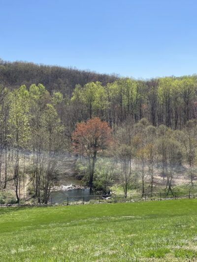Lake Needwood, Rock Creek Regional Park - Derwood, MD