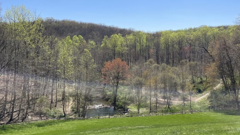 Lake Needwood, Rock Creek Regional Park - Derwood, MD