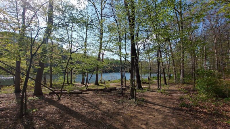 Lake Needwood, Rock Creek Regional Park - Derwood, MD