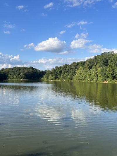 Needwood hiker-biker trail - Derwood, MD