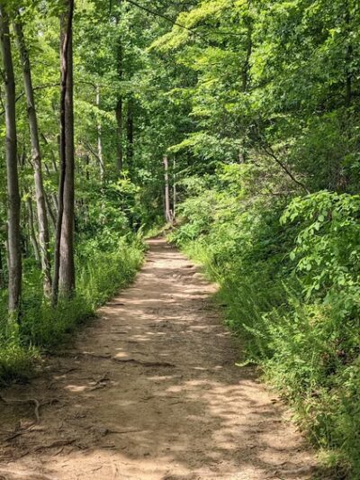 Needwood hiker-biker trail - Derwood, MD
