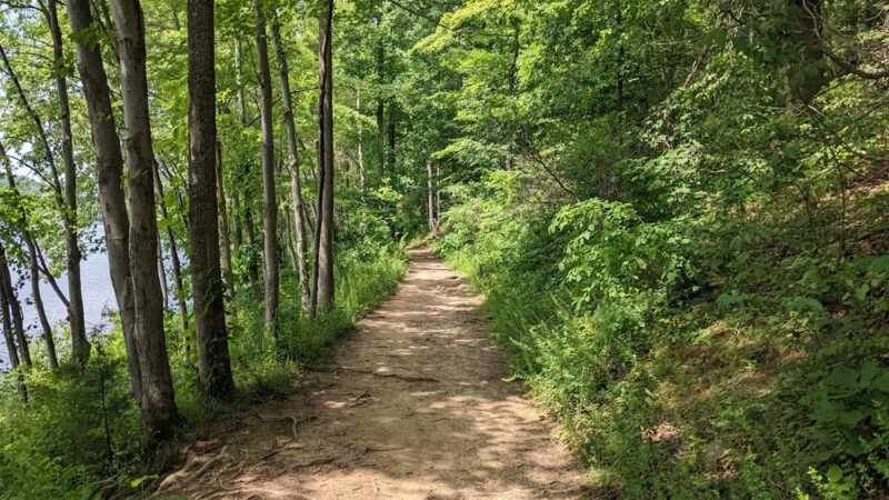 Needwood hiker-biker trail - Derwood, MD