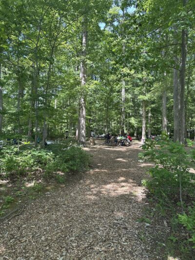 Needwood hiker-biker trail - Derwood, MD