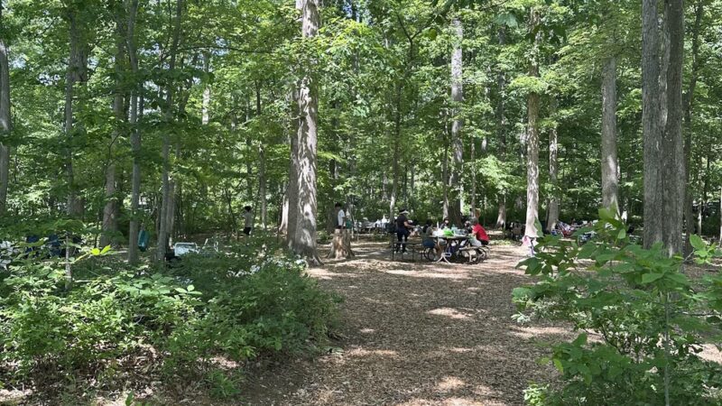 Needwood hiker-biker trail - Derwood, MD