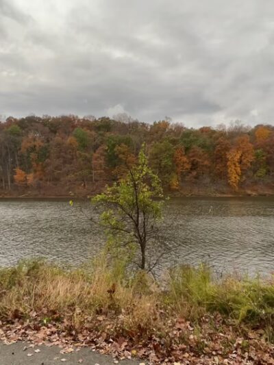 Needwood Lake - Derwood, MD