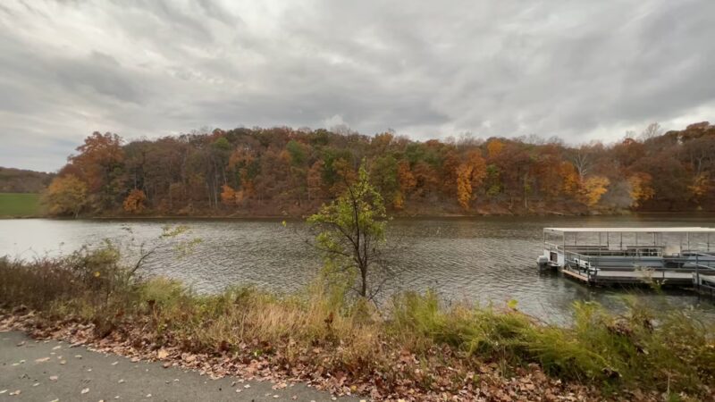 Needwood Lake - Derwood, MD