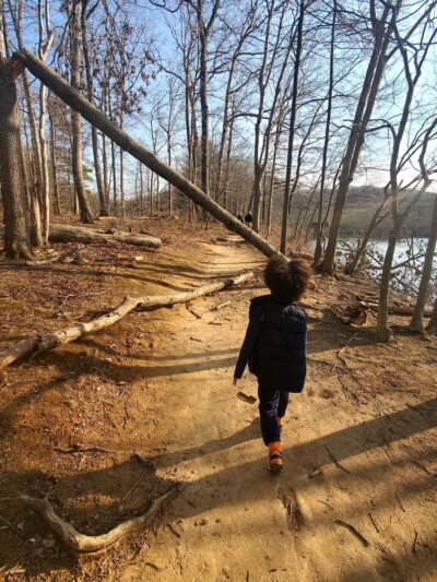 Needwood Lake - Derwood, MD