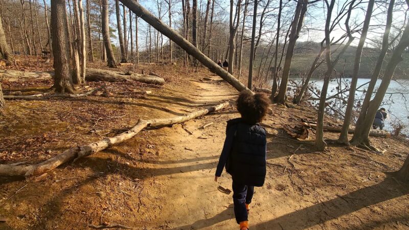Needwood Lake - Derwood, MD